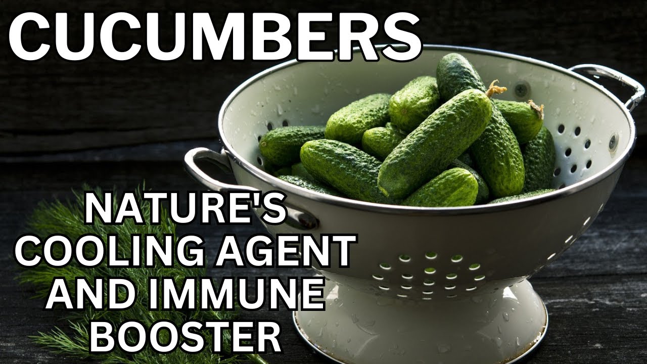 Cucumber Explained YouTube