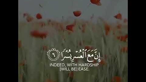 ما تيسر من سورة الشرح | اسلام صبحي