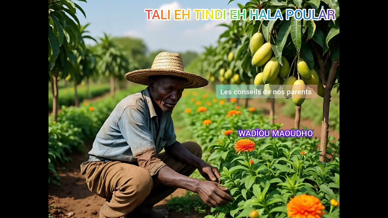 Les conseils de nos parents traditionnel peulh