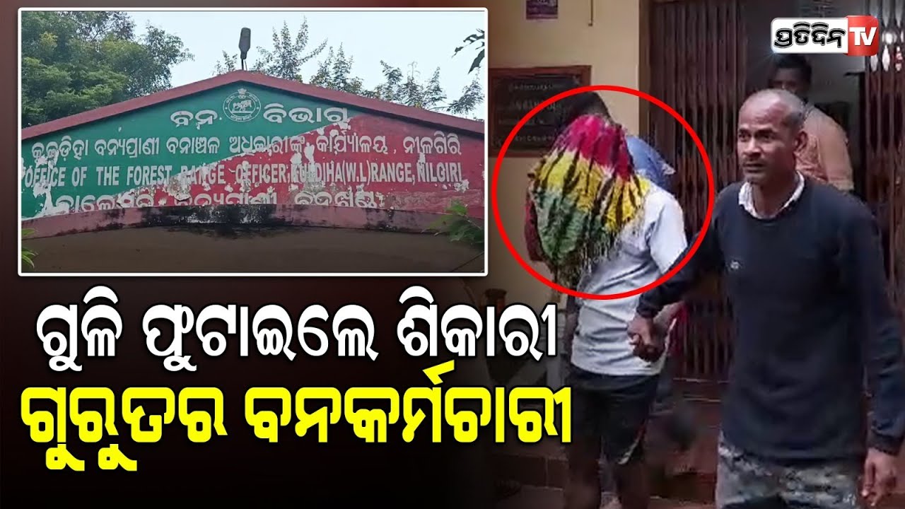 ବନ କର୍ମଚାରୀଙ୍କୁ ଶିକାରୀଙ୍କ ଗୁଳିମାଡ ୨ ଗୁରୁତର, ଜଣେ ଆହତ|3 forest officials injured in firing by poachers