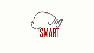 Dog training Client Reviews by iamdogsmart 15 views 4 years ago 49 seconds
