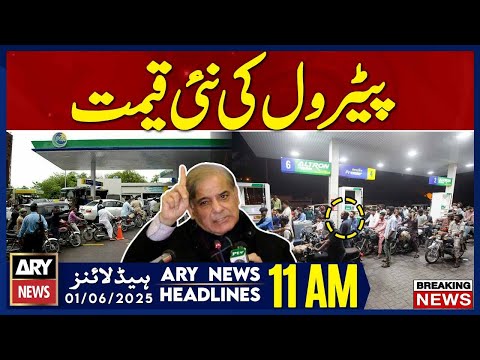 ARY News 11