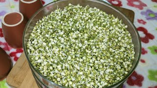 How to make sprouts/ green gram sprouts @nilamravalskitchen2807