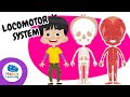 💪🫁🫀 LOCOMOTOR SYSTEM: How your body works? | Educational Videos for Children |@HappyLearningENG