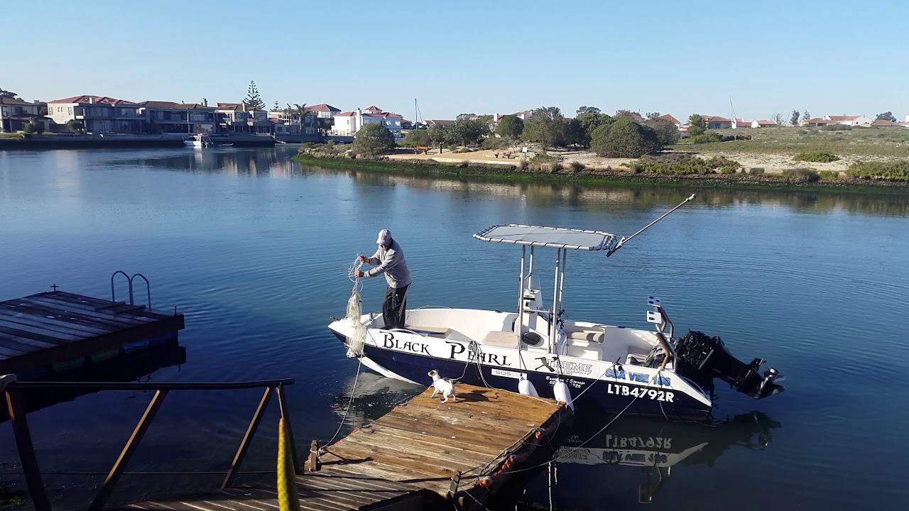 Cast net fishing YouTube