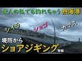熱海港海釣り施設でライトショアジギング シイラ ショゴ カンパチ カマス 前編 MANCING MANIA JAPAN