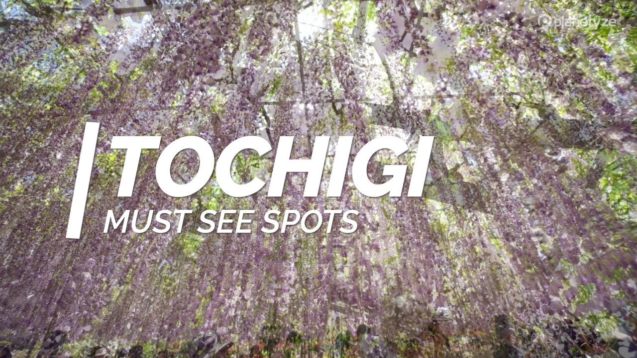 All about Tochigi - Must see spots in Tochigi | Japan Travel Guide