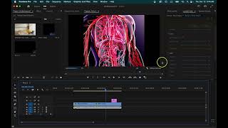 Premiere pro Training   Part 4