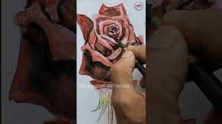 How to Draw and Paint a Red Rose with Watercolors#shorts