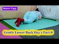 Gentle Lower Back & Full Body Stretch at Home | For Women & Beginners | Day 1 Part 8