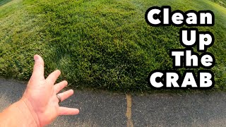 Crabgrass Clover Bermudagrass Dallisgrass all in One Spray