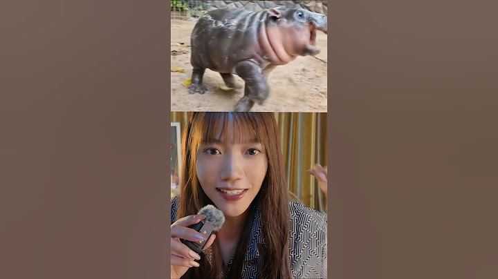 ชอบเสียงแบบไหนกัน555 #หมูเด้ง #จูนสมองก่อน #พากย์เสียง
