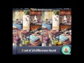 Criminal Case 3 The Grim Butcher Scene 9 Vanessa S Kitchen Bonus 