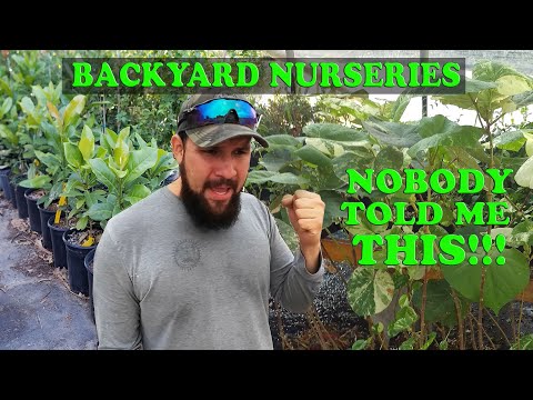 TOP Things I Don't like About Having a Backyard Nursery