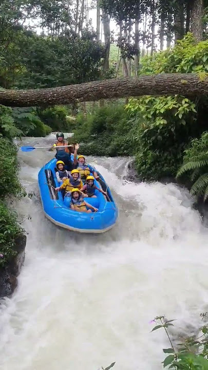 Rafting situ cileunca pangalengan (wisata arum jeram)