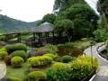 SUMMER PLACE - Percy Faith Orchestra