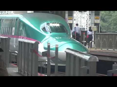E5系はやぶさ、E6系こまち　東京駅入線
