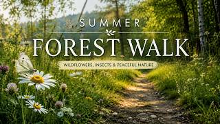 Summer Forest Walk 🌿 Wildflowers, Insects and Peaceful Nature Sounds - Природа літа -Україна