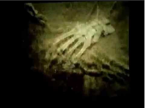 Shroud of Turin Expert Barrie Schwortz (3 of 12)