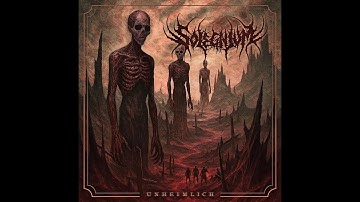 Solegnium - 2025 - Unheimlich (Brutal Death, DR11)