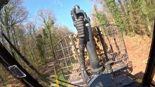 “LIVE: Real Logging Machine POV | Ponsse Buffalo Working”