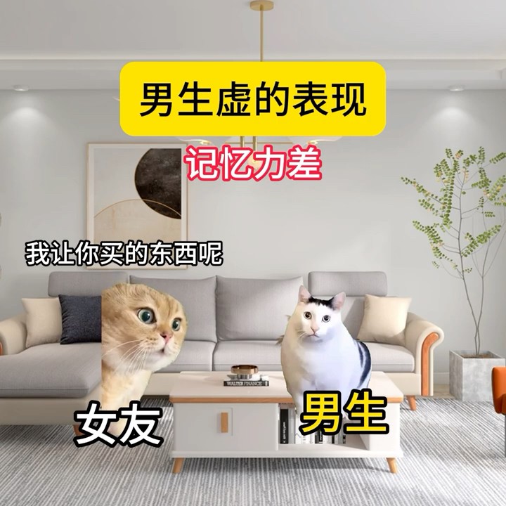 男生虚的表现! #猫meme #猫meme小剧场 #内容过于真实 - YouTube
