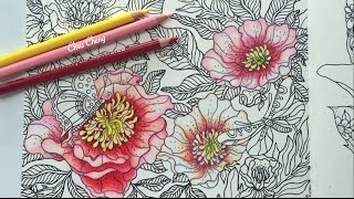 Dagdrömmar Coloring Book | The Peony (Part 1)