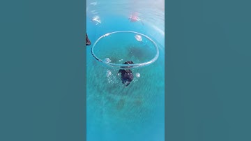 My personal videographer is a 360 camera. Shot on @insta360 X4 #insta360 #insta360x4