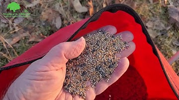 Frost Seeding Clover on Snow