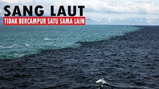 Tak Akan Menyatu 2 Air Laut Ini Sudah Dijelaskan Di Dalam Al Quran Ensiklopedia Al Fatih Resimi
