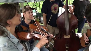 Old Joe Clark - AJ & Sami and Friends - Clifftop 2018