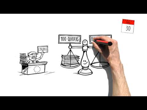 Vidéo: Comment fonctionnent les systèmes de marché ?