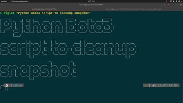 Python Boto3 script to Cleanup EBS snapshot