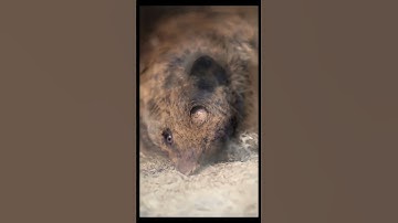 Infinite Zoom                              #shorts #infinity #zoom #ytshorts