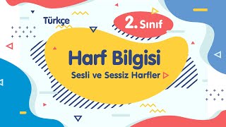 05- 2. Sınıf Türkçe - Harf Bilgisi: Sesli ve Sessiz Harfler Konulu Etkinlik - 2. Bölüm| Sayfa 05