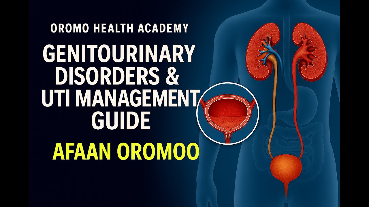 Genitourinary Disorders & UTI Management Guide | Afaan Oromoo