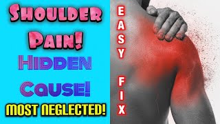 Exclusive Shoulder Pain! "Deep & Nagging Ache That Won’t Go Away!" *Hidden & Neglected Cause* | Dr Wil & Dr K Details