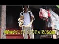 Snake Rescue | Monocled Cobra | Venomous snake | Pokhara | Rohit Giri