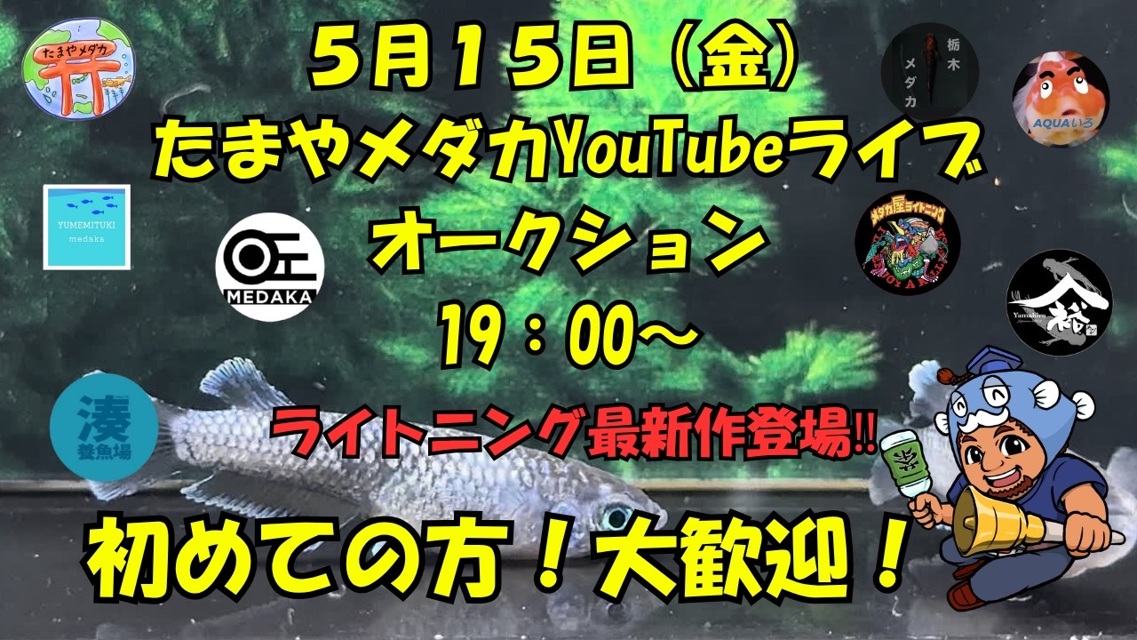 5月15日(金) ライブオークション