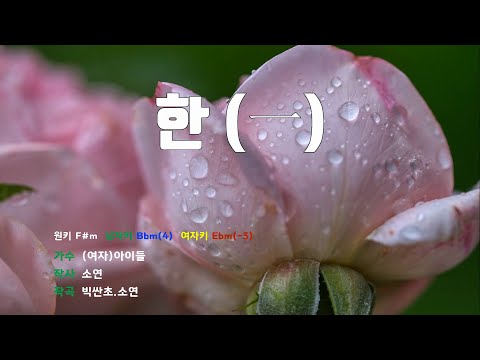 [은성 반주기] 한(一) - (여자)아이들