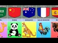 National animals from different countries