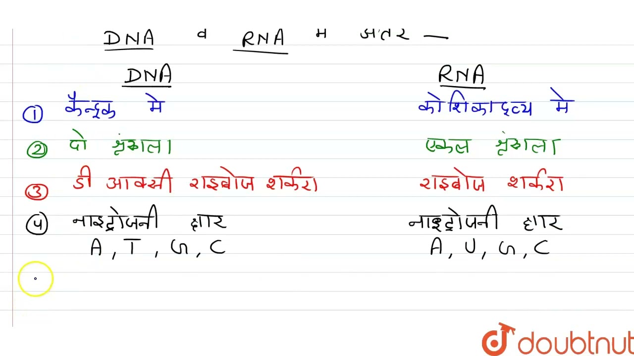 न्यूक्लिक अम्ल कितने प्रकार के होते हैं ? DNA एवं RNA के मुख्य अंतरों को लिखें |  | 12 | वंशागति...