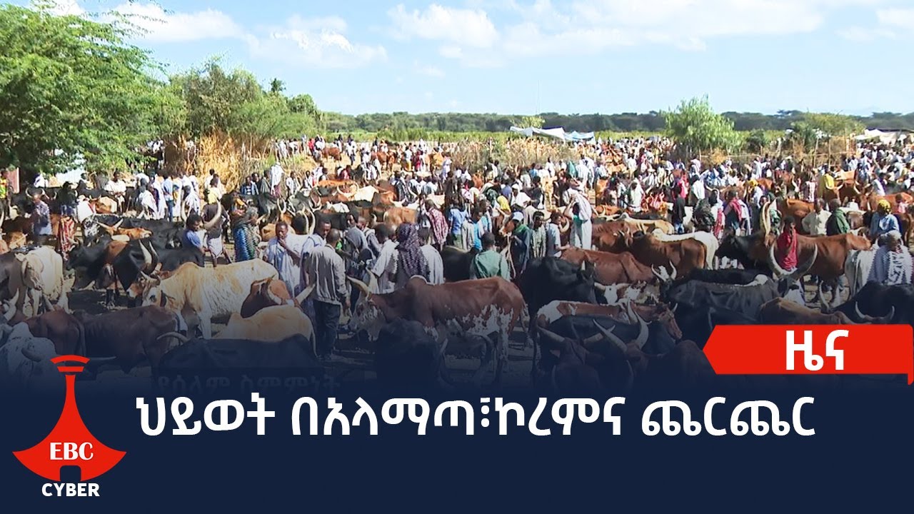 ህይወት በአላማጣ፣ኮረምና ጨርጨር አካባቢዎች Etv | Ethiopia | News