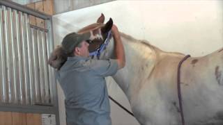 Masterson Method Head Up technqiue