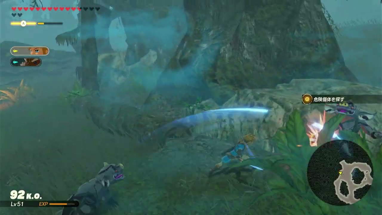 【ゼルダ無双　厄災の黙示録】危険個体の目撃（ハード）