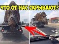 УЧЕНЫЕ СОЗДАДУТ ДИНОЗАВРОВ В 2050 ГОДУ!