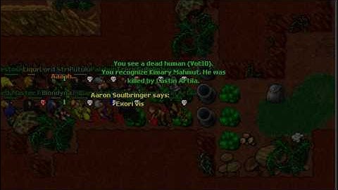 Tibia War Movie [The Alliance] Hiberna