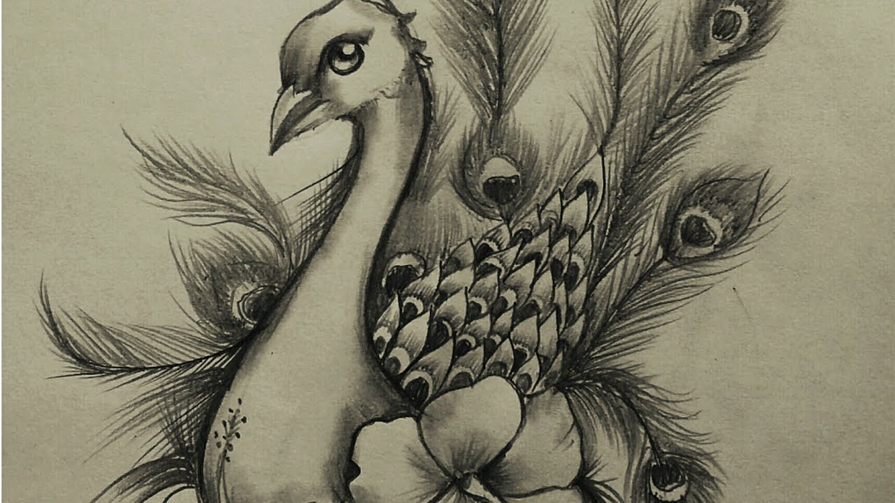 Peacock Feather & Flute Pencil Drawing – Meghnaunni.com-saigonsouth.com.vn