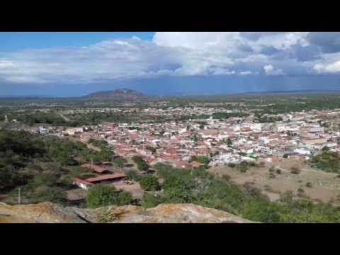 Andorinha Bahia fonte: i.ytimg.com