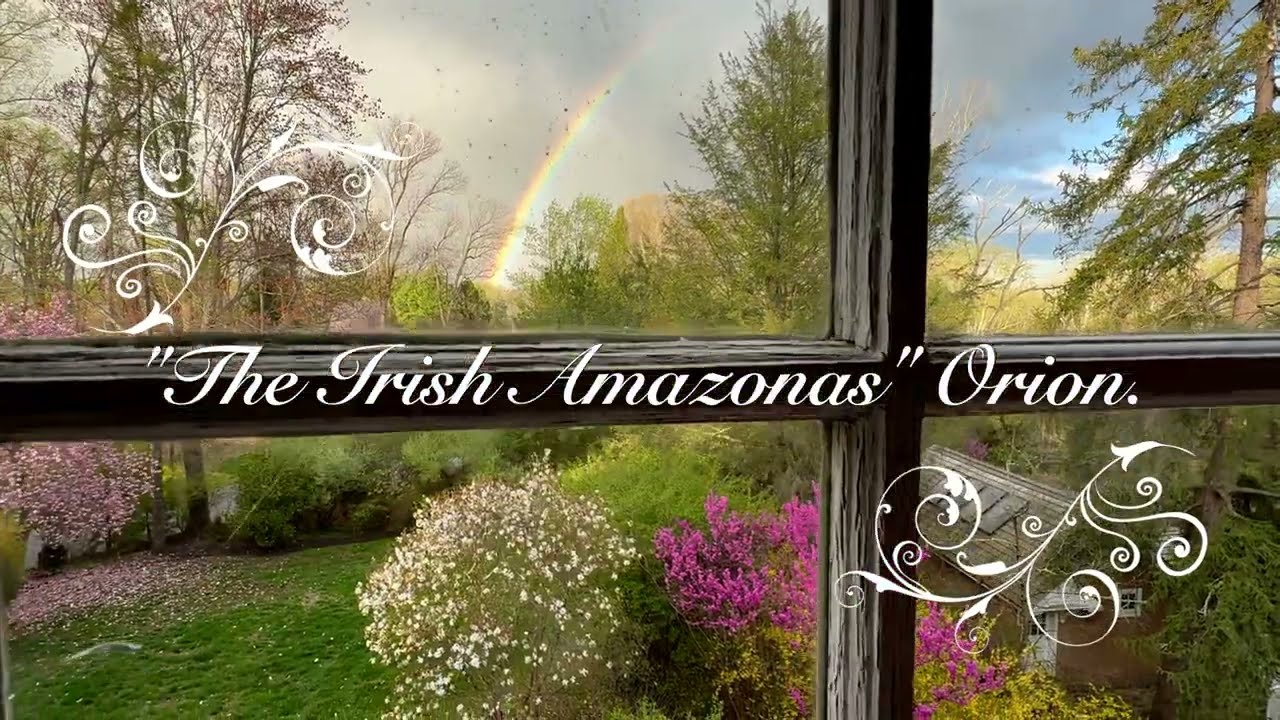 Casting Call: Carlotta Casiraghi Is Queen Iris "The Irish Amazonas" Orion. Motion Pictures Hollywood